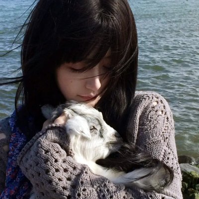 玻璃之花与坏掉的世界 海报